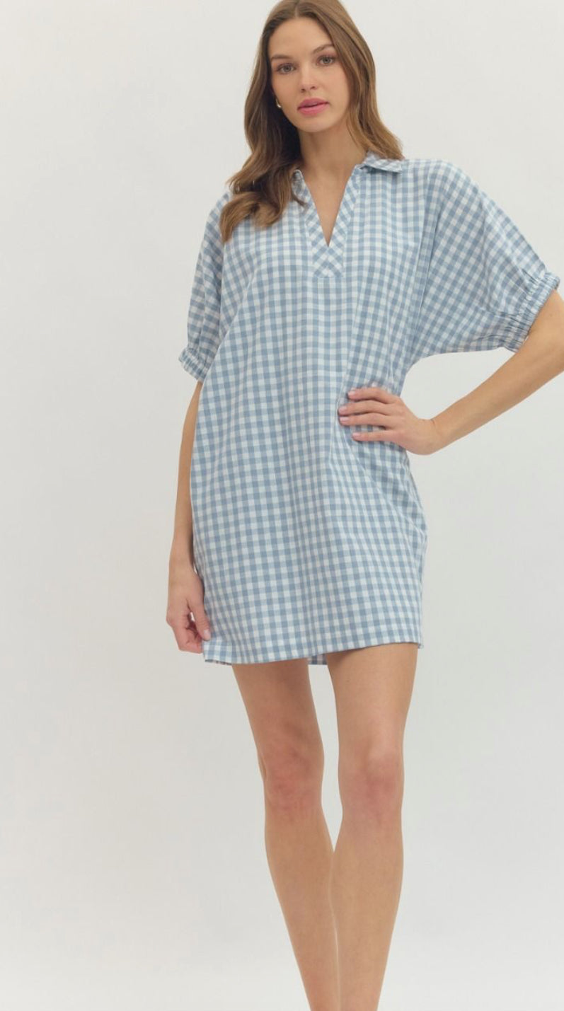 Blue Gingham Mini Dress