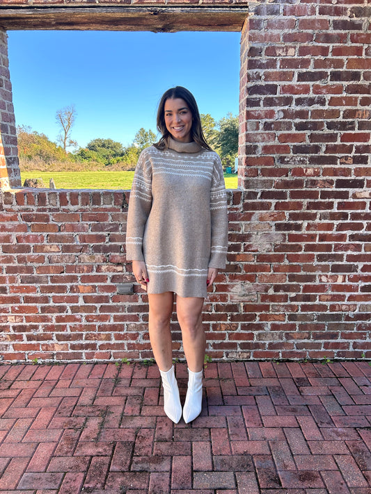 Taupe & Ivory Longsleeve turtleneck dress