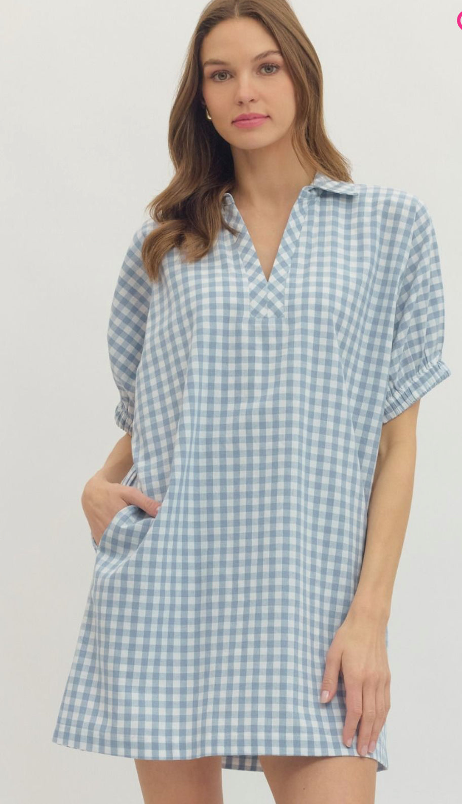 Blue Gingham Mini Dress