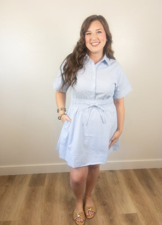 Blue Stripe Collar Mini