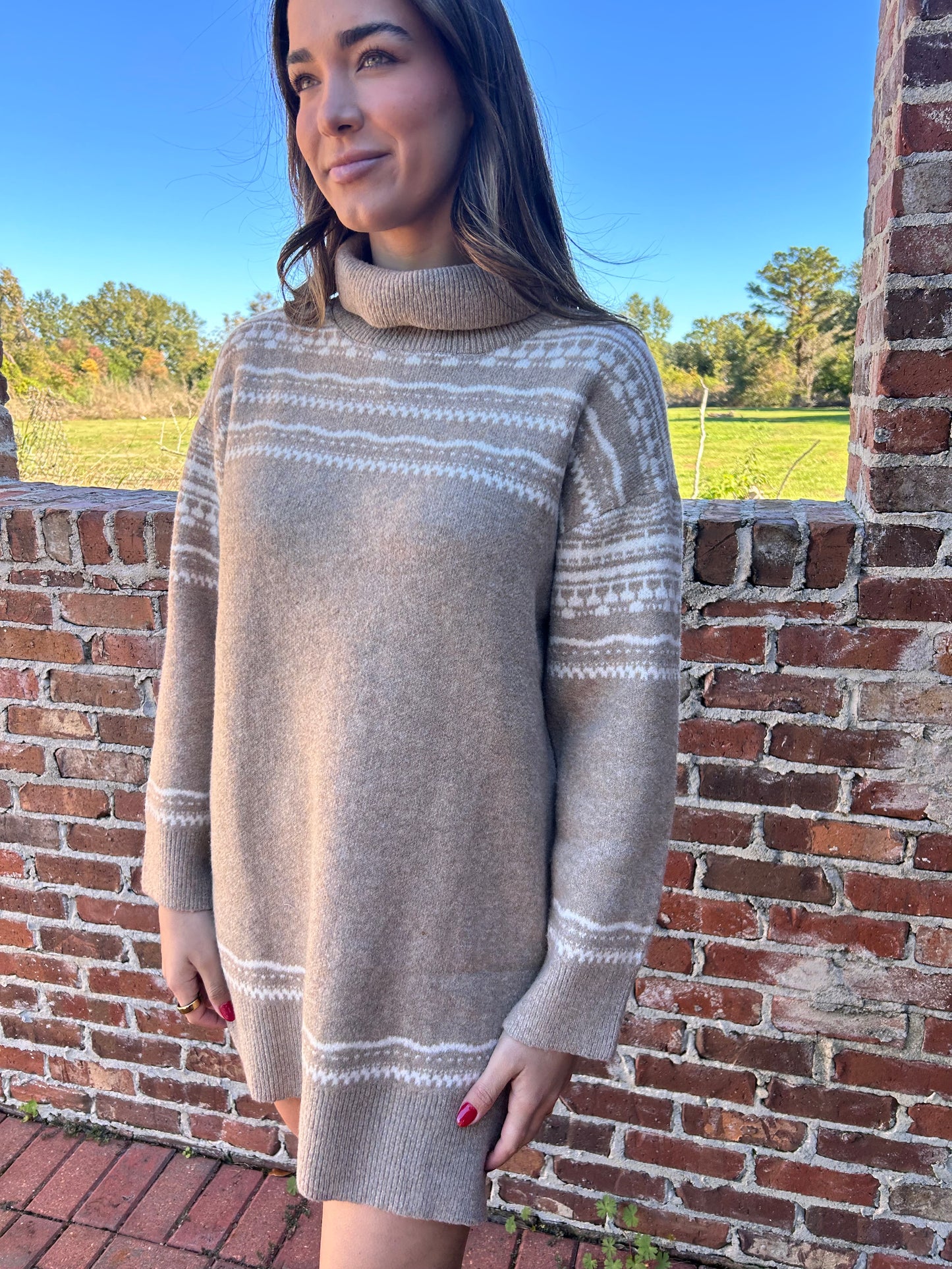 Taupe & Ivory Longsleeve turtleneck dress