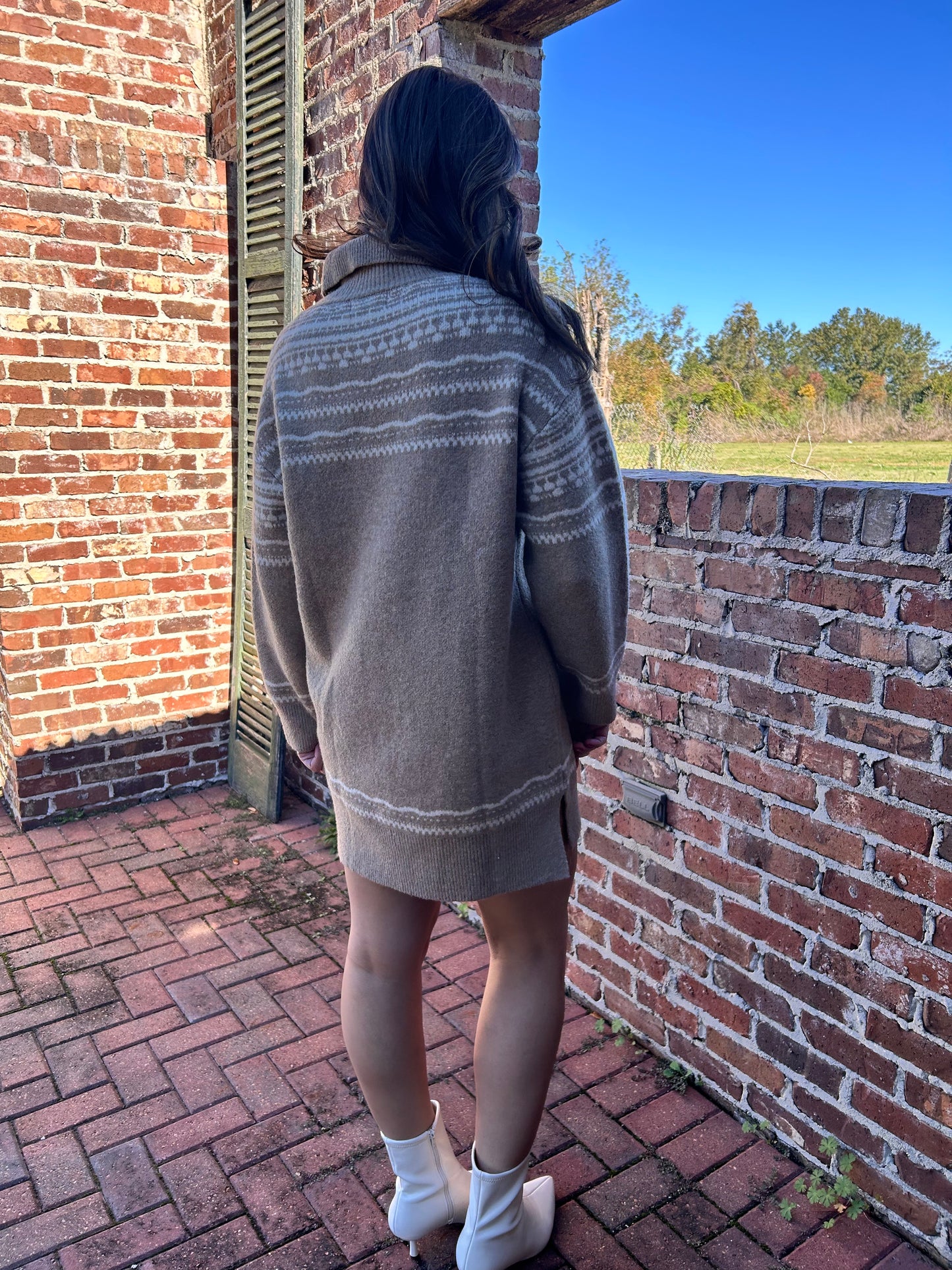 Taupe & Ivory Longsleeve turtleneck dress