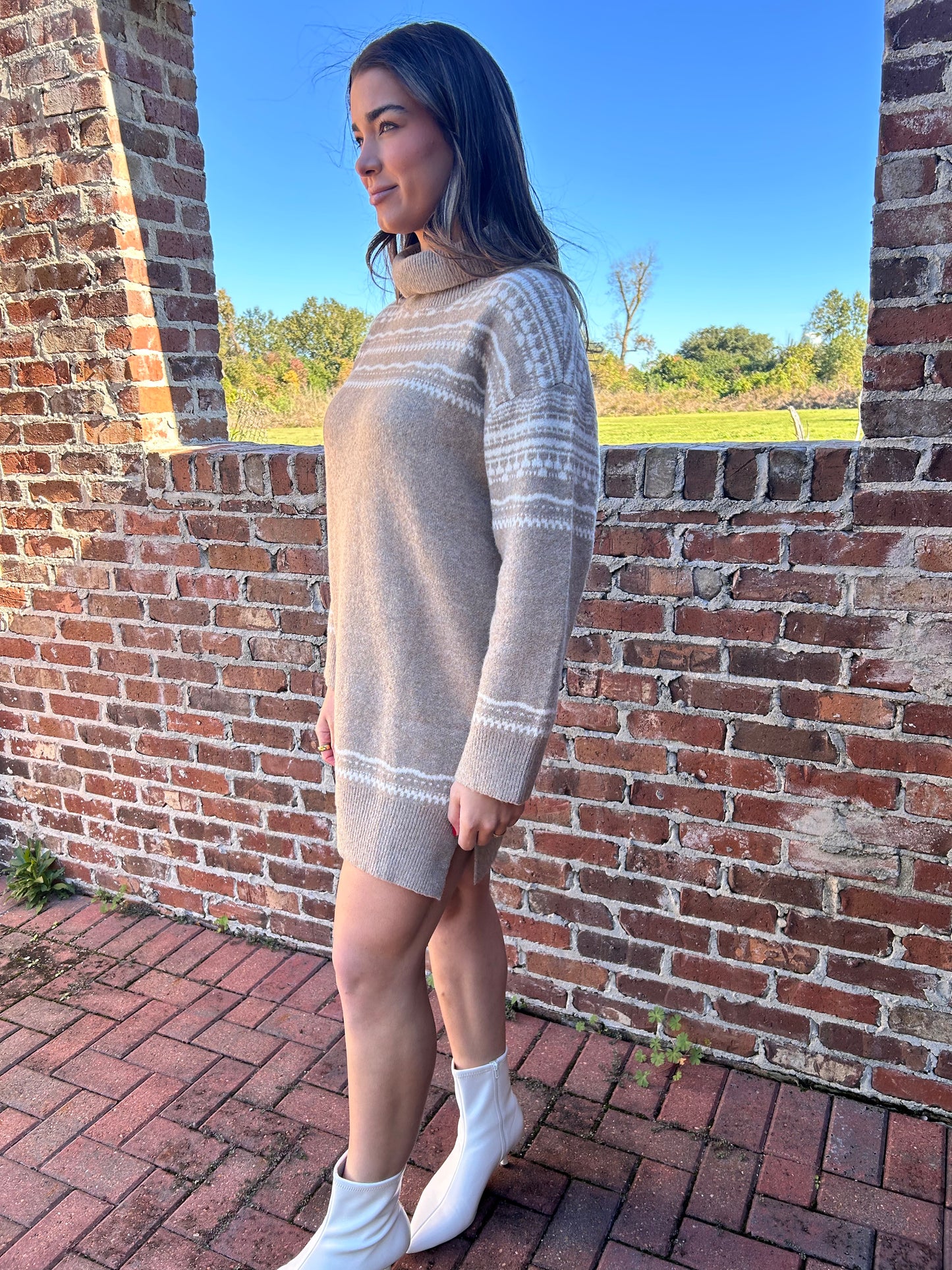 Taupe & Ivory Longsleeve turtleneck dress